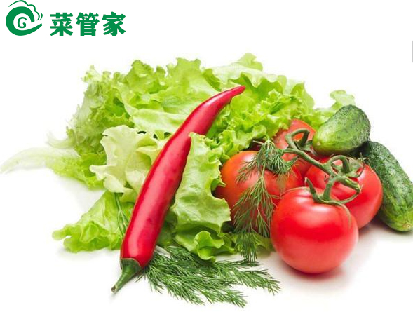 今年蔬菜价格走势如何? 今年蔬菜价格走势如何?